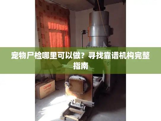 宠物尸检哪里可以做？寻找靠谱机构完整指南