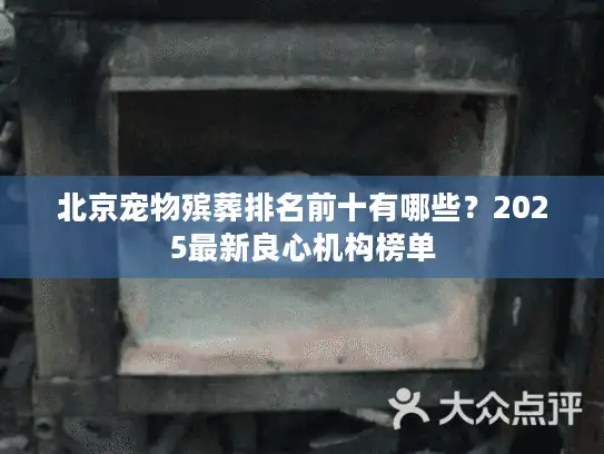 北京宠物殡葬排名前十有哪些？2025最新良心机构榜单