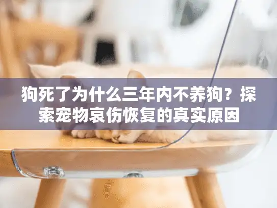 狗死了为什么三年内不养狗？探索宠物哀伤恢复的真实原因