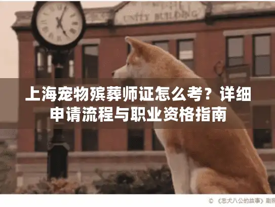 上海宠物殡葬师证怎么考？详细申请流程与职业资格指南