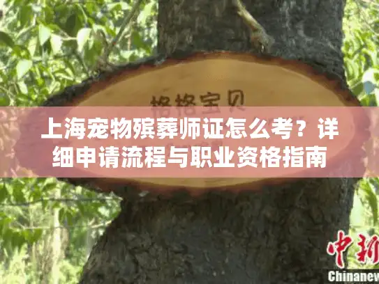 上海宠物殡葬师证怎么考？详细申请流程与职业资格指南