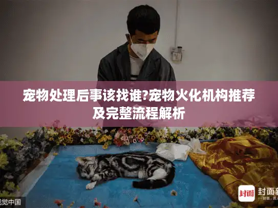 宠物处理后事该找谁?宠物火化机构推荐及完整流程解析