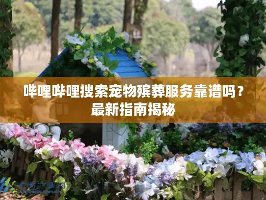 哔哩哔哩搜索宠物殡葬服务靠谱吗？最新指南揭秘