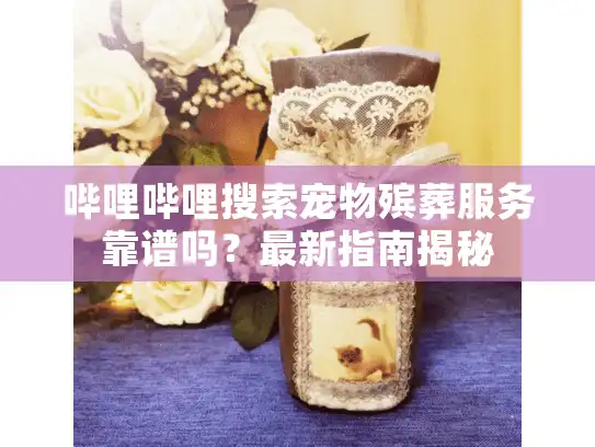 哔哩哔哩搜索宠物殡葬服务靠谱吗？最新指南揭秘