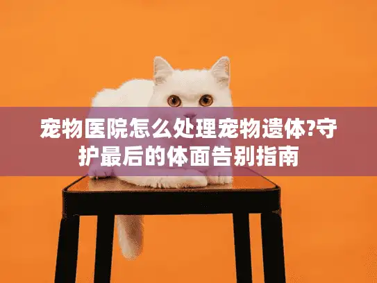 宠物医院怎么处理宠物遗体?守护最后的体面告别指南