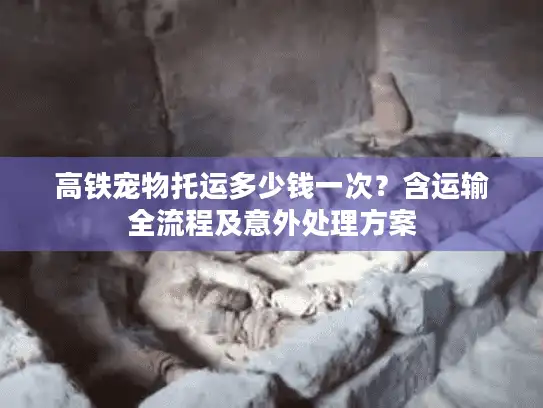 高铁宠物托运多少钱一次？含运输全流程及意外处理方案