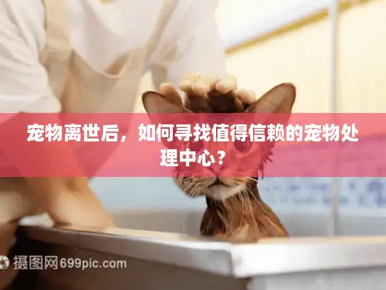 宠物离世后，如何寻找值得信赖的宠物处理中心？