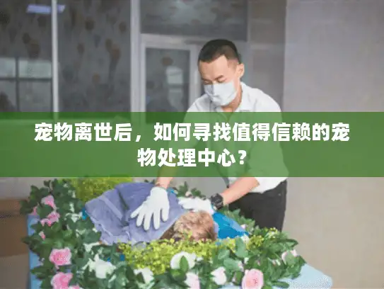 宠物离世后，如何寻找值得信赖的宠物处理中心？