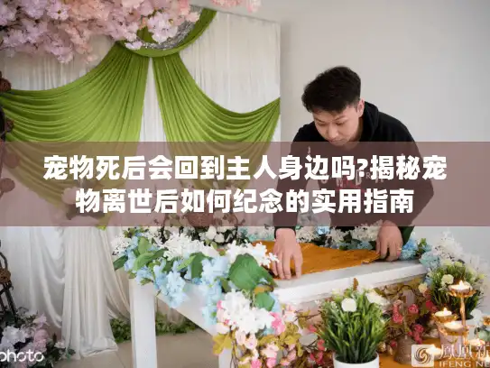 宠物死后会回到主人身边吗?揭秘宠物离世后如何纪念的实用指南