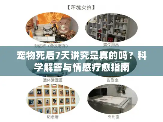 宠物死后7天讲究是真的吗？科学解答与情感疗愈指南