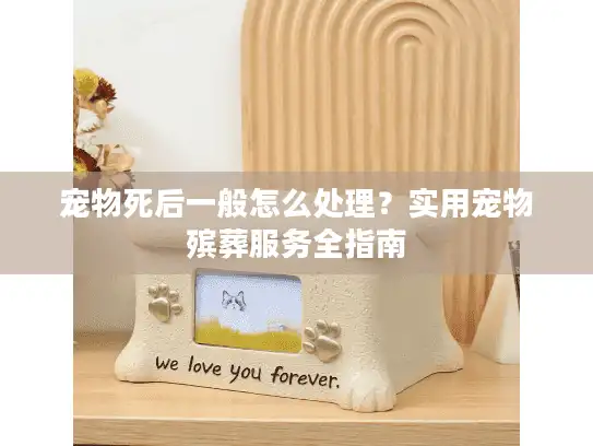宠物死后一般怎么处理？实用宠物殡葬服务全指南