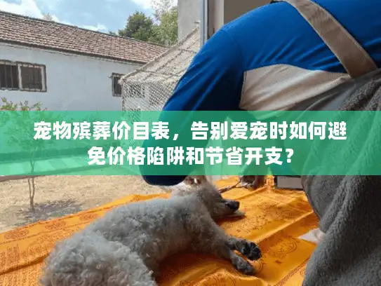 宠物殡葬价目表，告别爱宠时如何避免价格陷阱和节省开支？