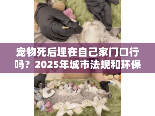 宠物死后埋在自己家门口行吗？2025年城市法规和环保影响深度剖析