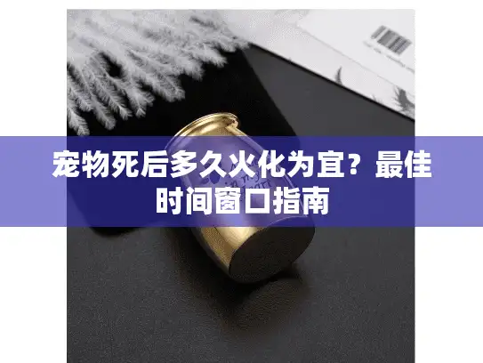 宠物死后多久火化为宜？最佳时间窗口指南