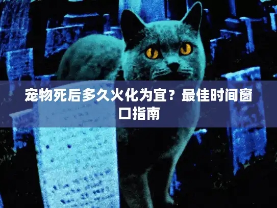 宠物死后多久火化为宜？最佳时间窗口指南