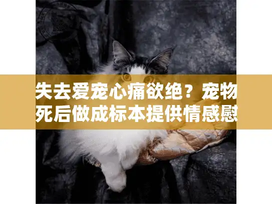 失去爱宠心痛欲绝？宠物死后做成标本提供情感慰藉方案