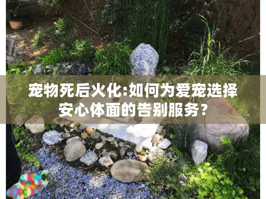 宠物死后火化:如何为爱宠选择安心体面的告别服务？