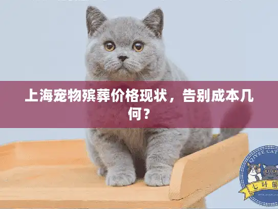 上海宠物殡葬价格现状，告别成本几何？