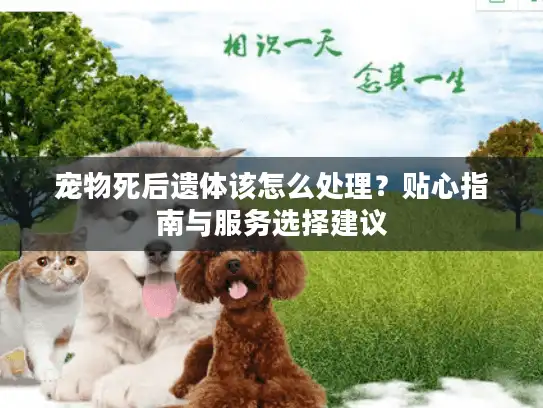 宠物死后遗体该怎么处理？贴心指南与服务选择建议