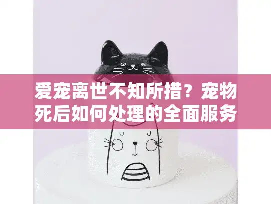 爱宠离世不知所措？宠物死后如何处理的全面服务指南
