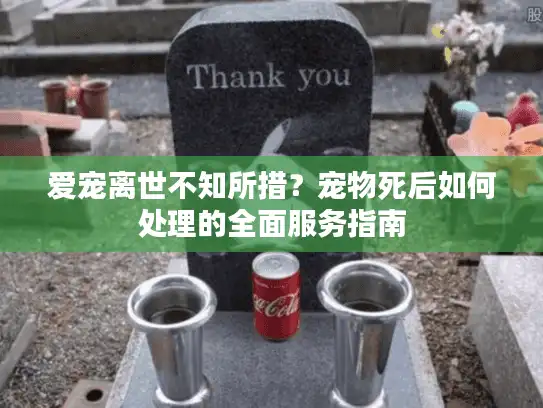 爱宠离世不知所措？宠物死后如何处理的全面服务指南