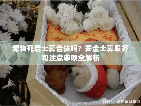 宠物死后土葬合法吗？安全土葬服务和注意事项全解析