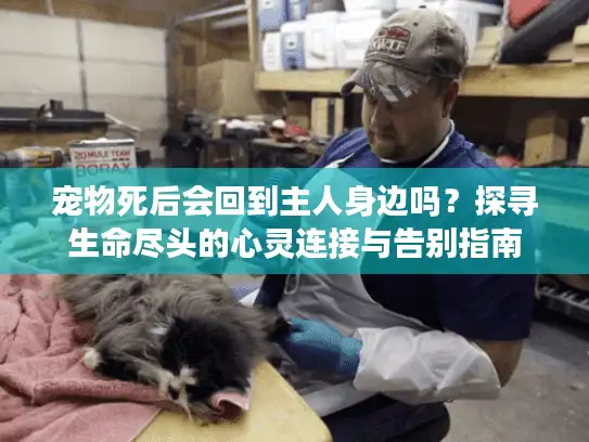 宠物死后会回到主人身边吗？探寻生命尽头的心灵连接与告别指南