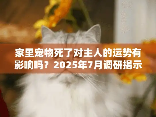 家里宠物死了对主人的运势有影响吗？2025年7月调研揭示惊人真相