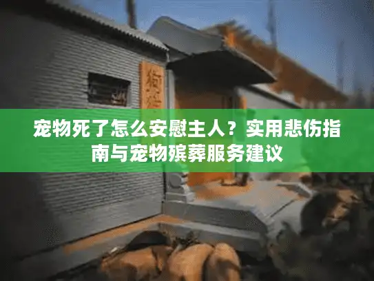 宠物死了怎么安慰主人？实用悲伤指南与宠物殡葬服务建议