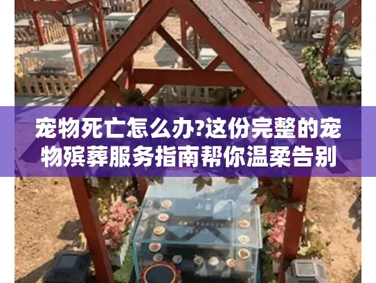 宠物死亡怎么办?这份完整的宠物殡葬服务指南帮你温柔告别