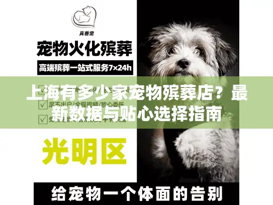 上海有多少家宠物殡葬店？最新数据与贴心选择指南