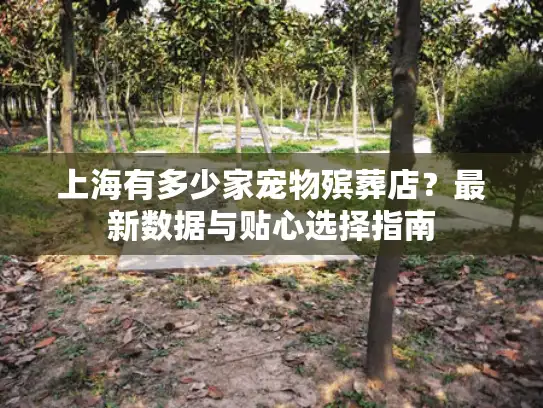 上海有多少家宠物殡葬店？最新数据与贴心选择指南