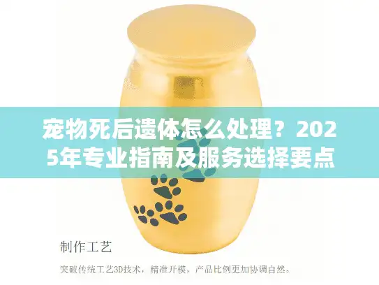 宠物死后遗体怎么处理？2025年专业指南及服务选择要点