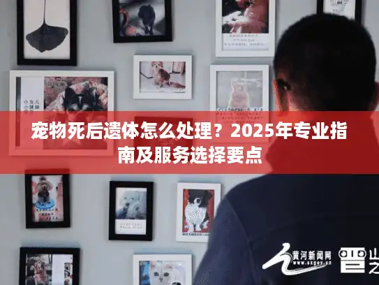 宠物死后遗体怎么处理？2025年专业指南及服务选择要点