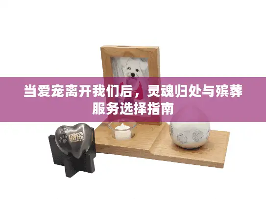 当爱宠离开我们后，灵魂归处与殡葬服务选择指南