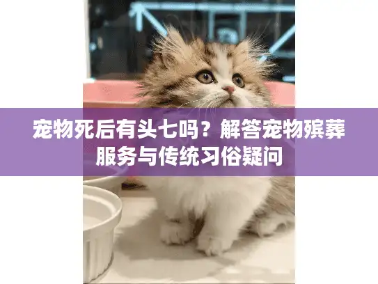 宠物死后有头七吗？解答宠物殡葬服务与传统习俗疑问
