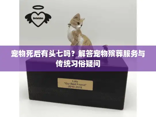 宠物死后有头七吗？解答宠物殡葬服务与传统习俗疑问