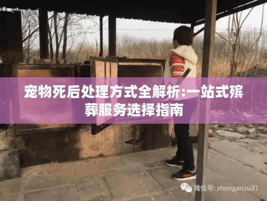 宠物死后处理方式全解析:一站式殡葬服务选择指南