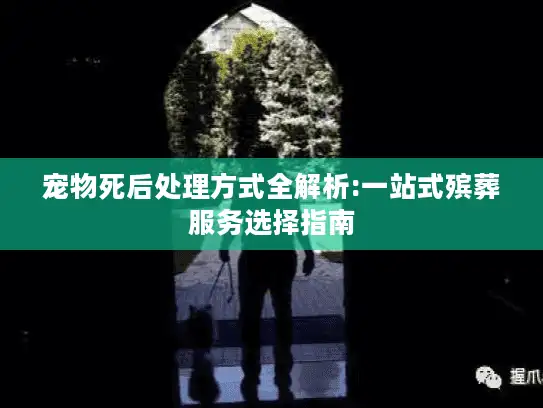 宠物死后处理方式全解析:一站式殡葬服务选择指南