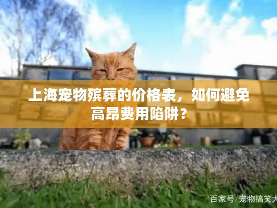 上海宠物殡葬的价格表，如何避免高昂费用陷阱？