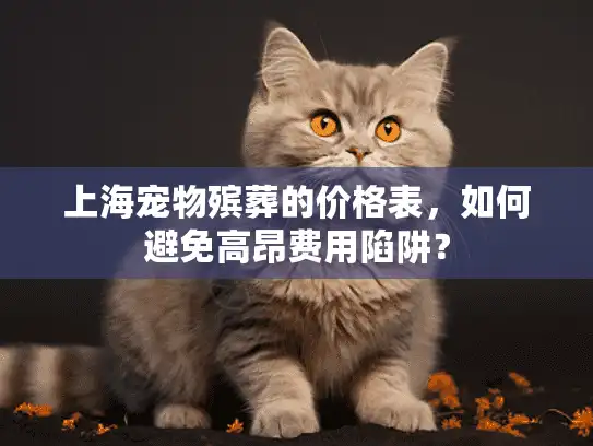 上海宠物殡葬的价格表，如何避免高昂费用陷阱？