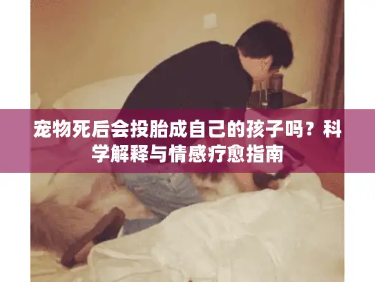 宠物死后会投胎成自己的孩子吗？科学解释与情感疗愈指南