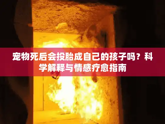 宠物死后会投胎成自己的孩子吗？科学解释与情感疗愈指南