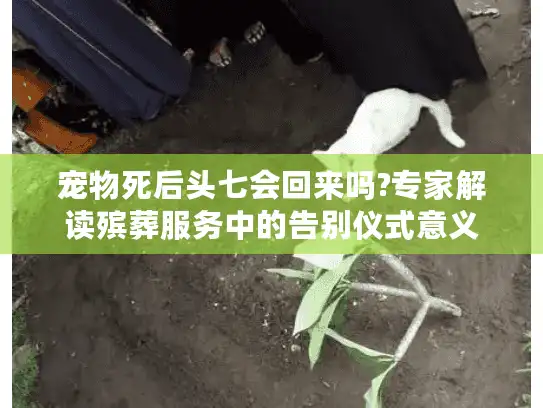 宠物死后头七会回来吗?专家解读殡葬服务中的告别仪式意义