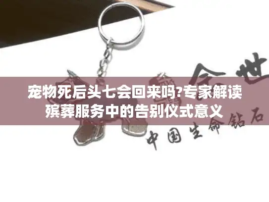 宠物死后头七会回来吗?专家解读殡葬服务中的告别仪式意义
