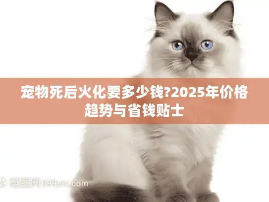 宠物死后火化要多少钱?2025年价格趋势与省钱贴士
