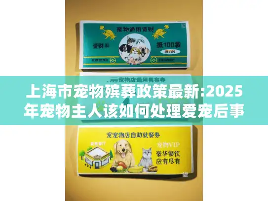 上海市宠物殡葬政策最新:2025年宠物主人该如何处理爱宠后事？