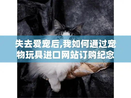 失去爱宠后,我如何通过宠物玩具进口网站订购纪念品获得疗愈？