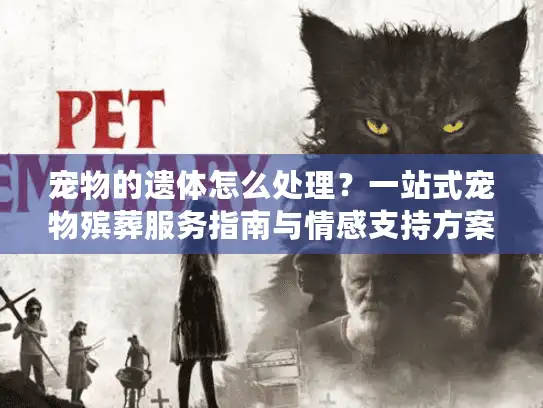 宠物的遗体怎么处理？一站式宠物殡葬服务指南与情感支持方案