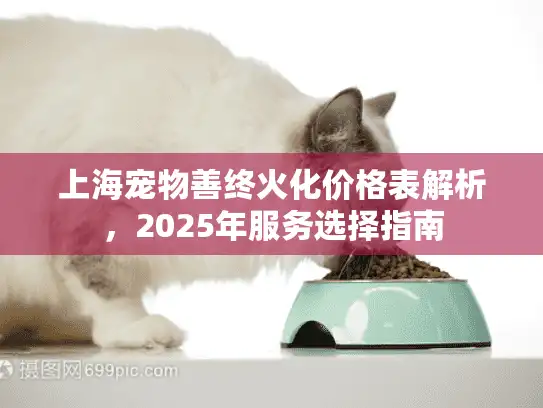 上海宠物善终火化价格表解析，2025年服务选择指南
